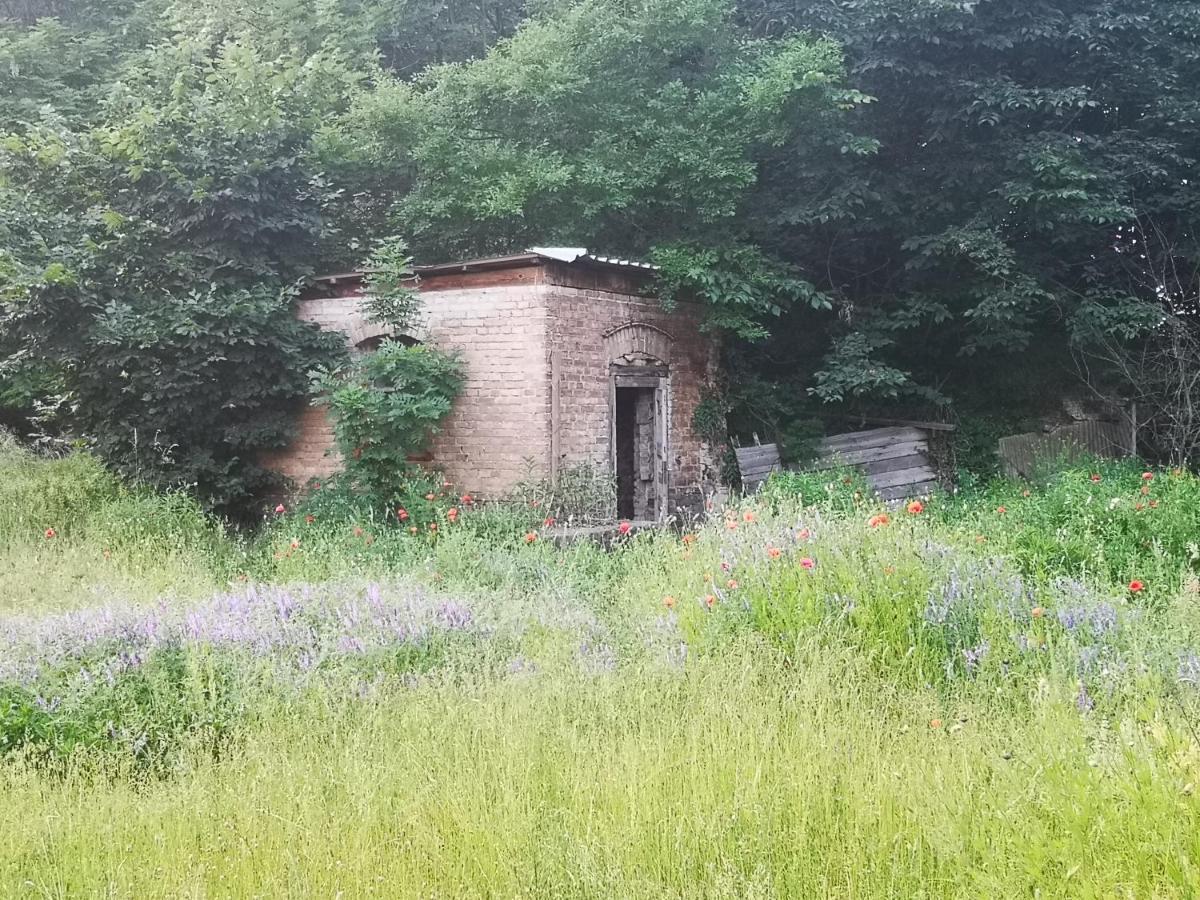 Gästehaus am Landgut Schonwalde-Glien Exterior foto